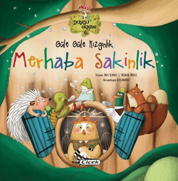 Güle Güle Kızgınlık Merhaba Sakinlik ürün görseli 1