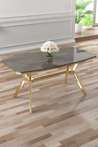 Canisa Asel Serisi 90x160 Lak Panel Antrasit İroni Gold Kaplama Ayaklı Masa ürün görseli 1