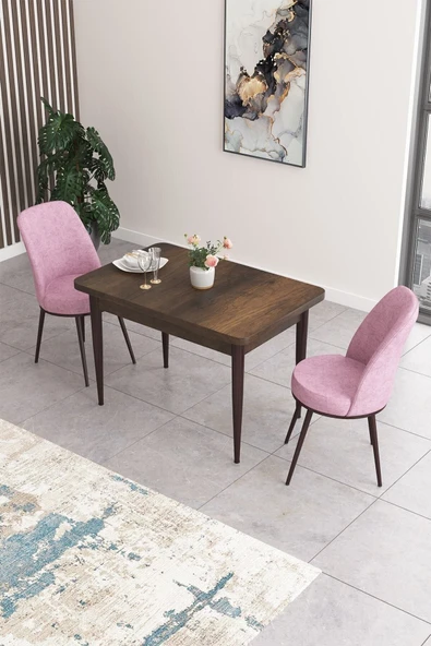 Canisa Concept Nil Serisi 70x110 Sabit Mutfak Masası Takımı Barok Desen Masa 2 Pembe Sandalye ürün görseli 1