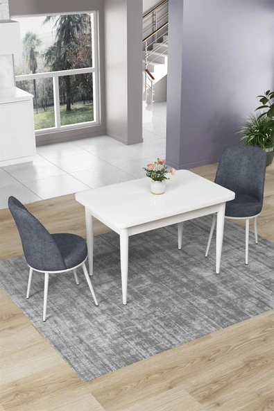 Canisa Concept Nil Serisi 70x110 Sabit Mutfak Masası Takımı Beyaz Masa 2 Füme Sandalye ürün görseli 1