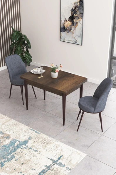 Canisa Concept Nil Serisi 70x110 Sabit Mutfak Masası Takımı Barok Desen Masa 2 Füme Sandalye ürün görseli 1