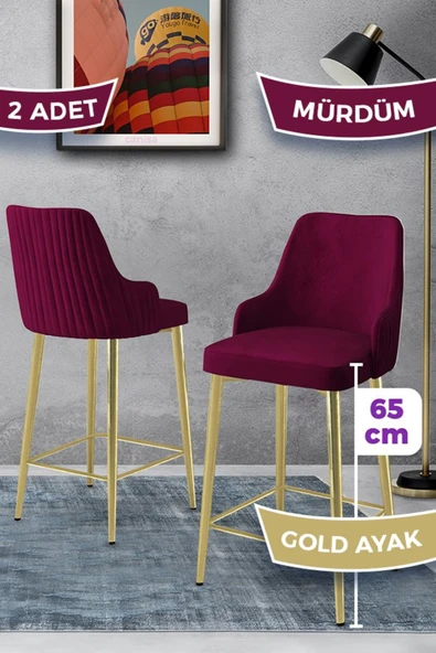 Canisa Tera Serisi 2 Adet Babyface Kumaş 65 cm Gold Kaplama Ayaklı Mürdüm Bar Sandalyesi ürün görseli 1