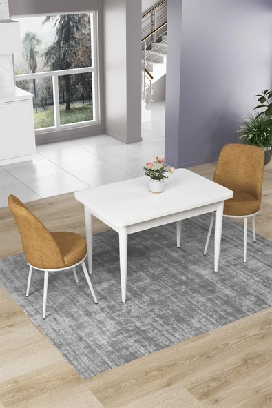 Canisa Concept Nil Serisi 70x110 Sabit Mutfak Masası Takımı Beyaz Masa 2 Cappucino Sandalye ürün görseli 1