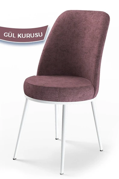 Canisa Concept Dexa Serisi, Üst Kalite Yemek Odası Sandalyesi, Metal Beyaz Iskeletli , 1 Adet Gülkurusu ürün görseli 1