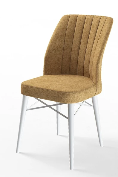 Canisa Concept Flex Serisi Cappuccino Renk/gürgen Ayaklı 1.sınıf Sandalye / Beyaz Gürgen Ayaklı ürün görseli 1