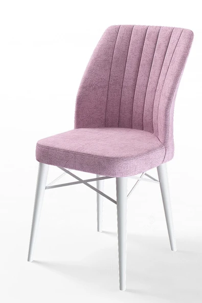Canisa Concept Flex Serisi Pembe Renk/gürgen Ayaklı 1.sınıf Sandalye / Beyaz Gürgen Ayaklı ürün görseli 1