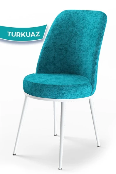 Canisa Concept Dexa Serisi Turkuaz Renk Sandalye Mutfak Sandalyesi, Yemek Sandalyesi Ayaklar Beyaz ürün görseli 1
