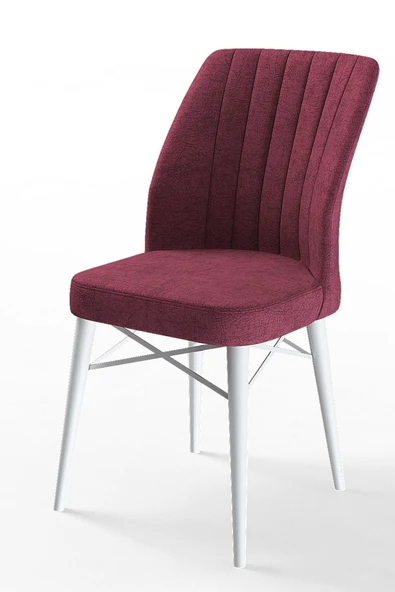 Canisa Concept Flex Serisi Bordo Renk/gürgen Ayaklı 1.sınıf Sandalye / Beyaz Gürgen Ayaklı ürün görseli 1