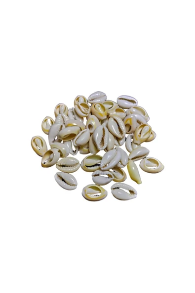 platin hediyelik (100 Gram) Doğal Deniz Kabuğu Kesik Model Natural Süsleme Kabukları ürün görseli 1