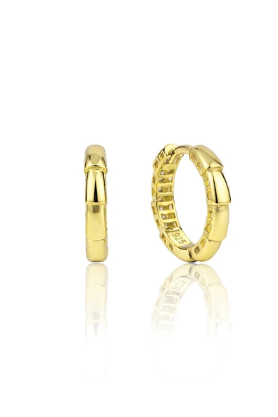 925 Ayar Gümüş küpe Üzeri Altın Kaplama Segment Modern Halka Küpe SGTL13190GOLD ürün görseli 1