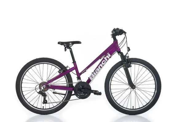 BIANCHI XR24.3 KADIN DAĞ BİSİKLETİ 310H V 24 JANT 21 VİTES MÜRDÜM GRİ ürün görseli 1