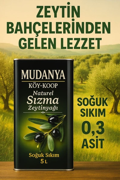 MUDANYA Natürel Soğuk Sıkım Sızma 5L(4800Gr) Zeytinyağı ürün görseli 1