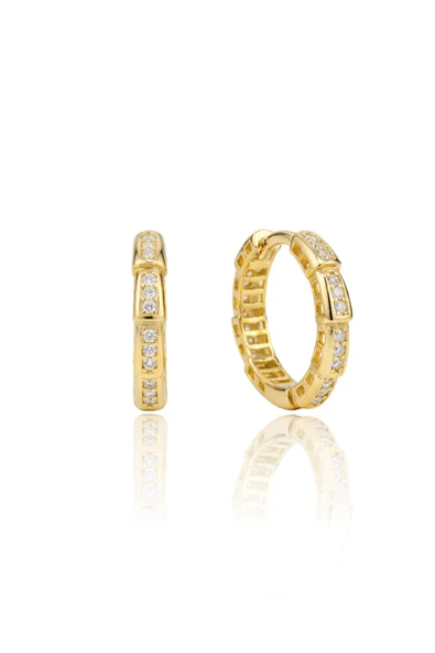 925 Ayar Gümüş Küpe Üzeri Altın Kaplama Zirkon Taşlı Segment Modern Halka Küpe SGTL13276GOLD ürün görseli 1