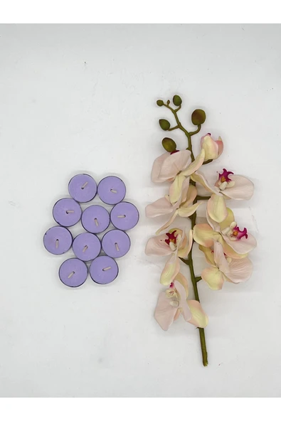 Gizemli Home 10 Adet Lavanta Kokulu Buhurdanlık Tealight Mum (4 saat 25 dakika) ürün görseli 1