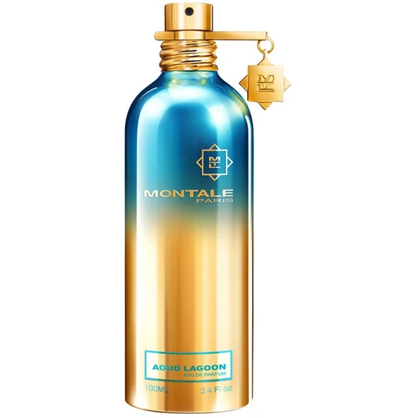 Montale Aoud Lagoon EDP 100 ml Unisex Parfüm ürün görseli 1