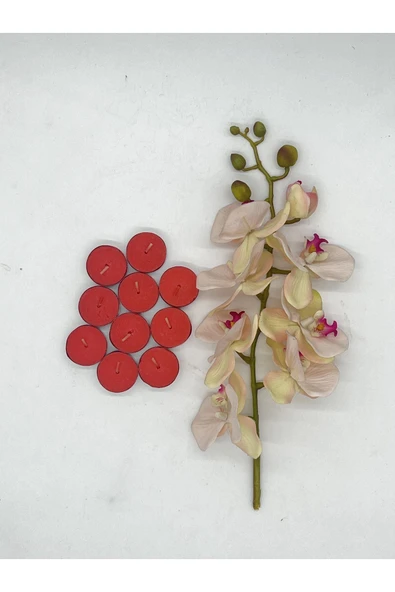 Gizemli Home 10 Adet Çilek Kokulu Buhurdanlık Tealight Mum (4 saat 25 dakika) ürün görseli 1