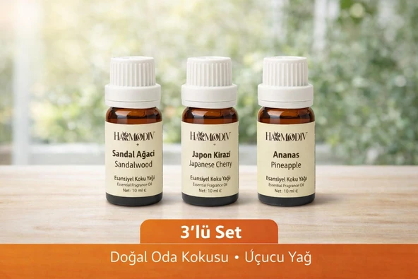 Uçucu Buhur Yağı Hava Nemlendiriciler için Buhurdanlık Esansı Oda Kokusu 10 ml 3 Lü Set ürün görseli 1