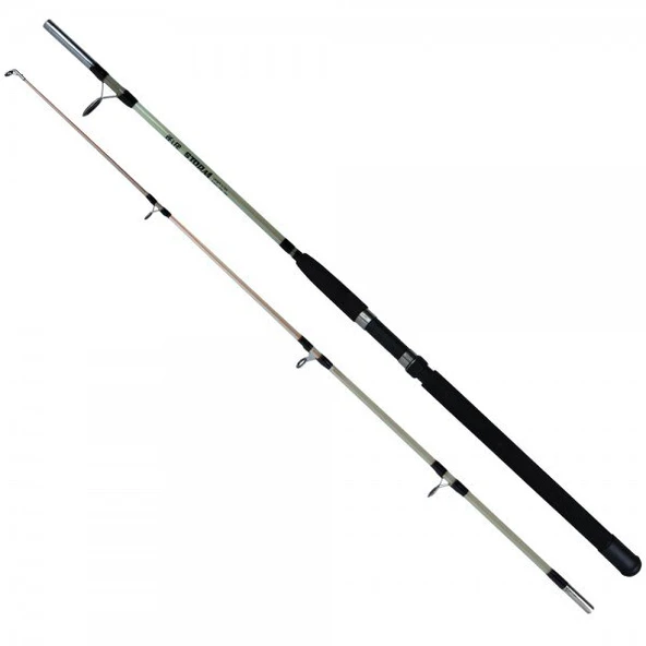 Effe Storm 1.65 m 2 Parça 150-300 Gram Atarlı Silikon Dolgu Olta Kamışı ürün görseli 1