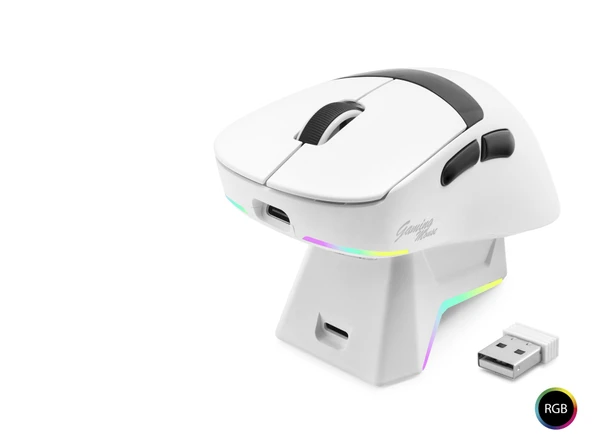Kablosuz Rgb Mouse Şarj Standlı - Beyaz MF1216W ürün görseli 1