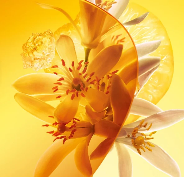 PTTAVM: Louis Vuitton Sun Song 100ml EDP Parfüm