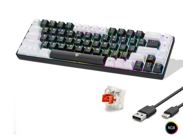 Mekanik Klavye Tri Mod Rgb Red Switch - Siyah Beyaz MF1703B ürün görseli 1