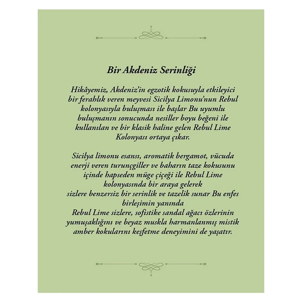 Rebul Lime 125 ml Spreyli Kolonya - Resim 3