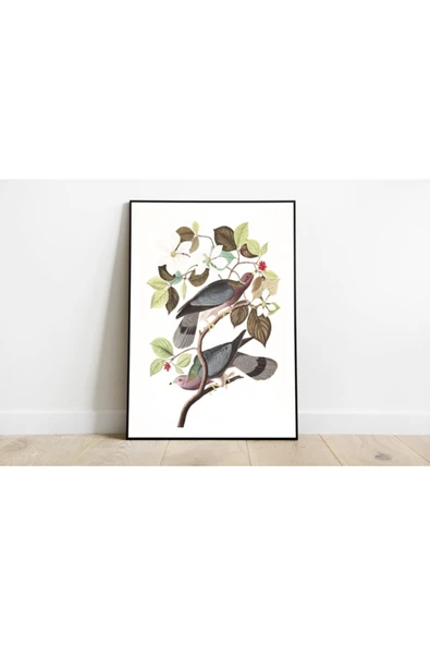 Pegziz Kuş Türleri Sanatsal Duvar Dekorasyon Poster 60x90cm. ürün görseli 1