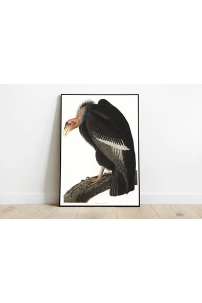 Pegziz Akbaba Sanatsal Duvar Dekorasyon Poster 60x90cm. ürün görseli 1