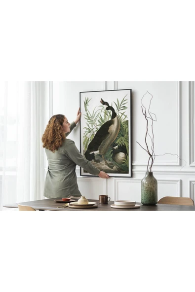 Pegziz Kuş Türleri Sanatsal Duvar Dekorasyon Poster 60x90cm. ürün görseli 1
