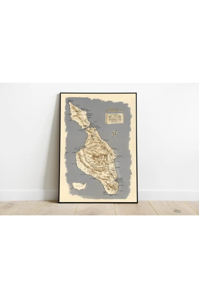 Pegziz Kaliforniya Santa Catalina Adası Haritası Sanatsal Duvar Dekorasyon Poster 60x90cm. ürün görseli 1