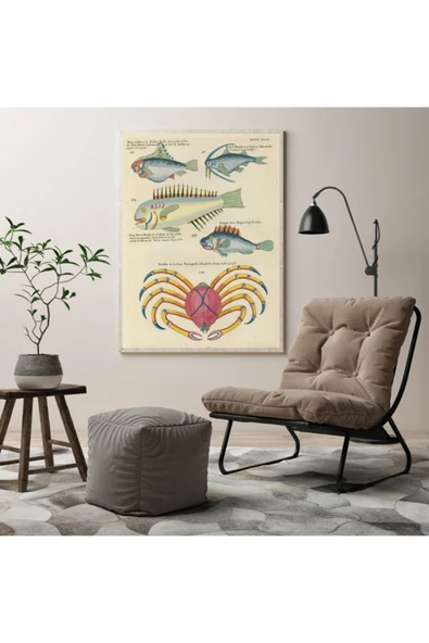 Pegziz Deniz Canlıları Sanatsal Duvar Dekorasyon Poster 60x90cm. ürün görseli 1