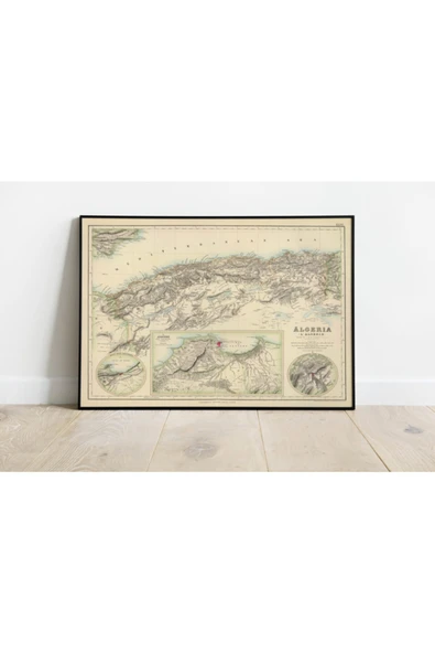 Pegziz Cezayir Haritası Sanatsal Duvar Dekorasyon Poster 60x90cm. ürün görseli 1