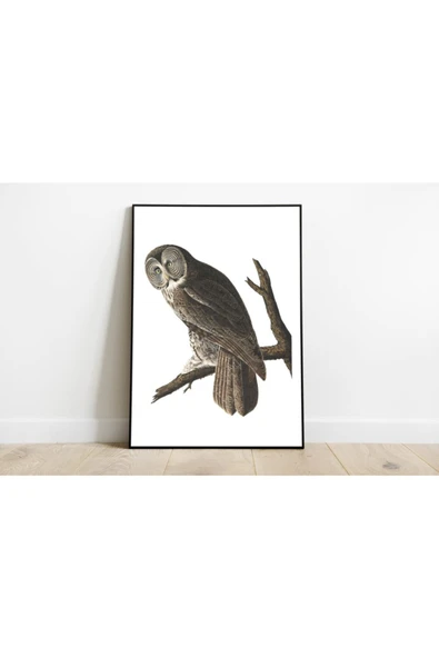 Pegziz Baykuş Sanatsal Duvar Dekorasyon Poster 60x90cm. ürün görseli 1