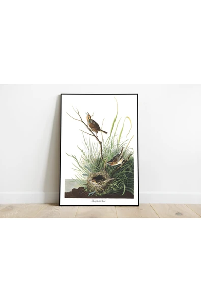 Pegziz Kuş Türleri Sanatsal Duvar Dekorasyon Poster 60x90cm. ürün görseli 1