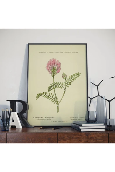 Pegziz Çiçek Vintage Sanatsal Poster 50x70cm. ürün görseli 1