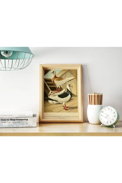 Pegziz Kuş Türleri Güvercin Sanatsal Duvar Dekorasyon Poster 50x70cm. ürün görseli 1