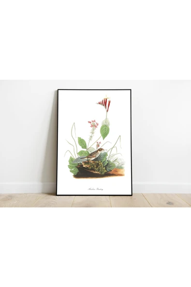 Pegziz Kuş Türleri Sanatsal Duvar Dekorasyon Poster 60x90cm. ürün görseli 1