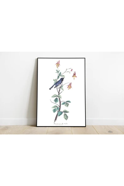 Pegziz Kuş Türleri Sanatsal Duvar Dekorasyon Poster 60x90cm. ürün görseli 1