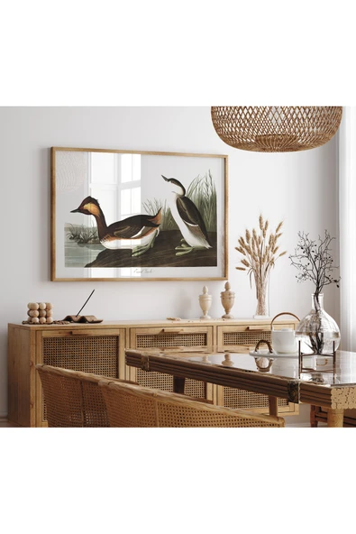 Pegziz Batağan Kuşu Sanatsal Duvar Dekorasyon Poster 60x90cm. ürün görseli 1
