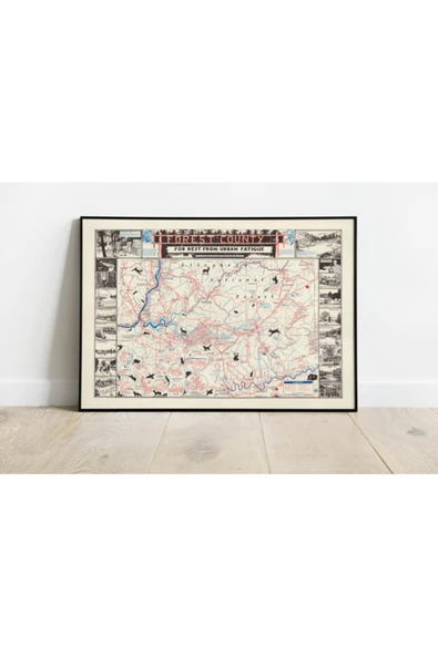 Pegziz Amerika Forest County Haritası Sanatsal Duvar Dekorasyon Poster 60x90cm. ürün görseli 1