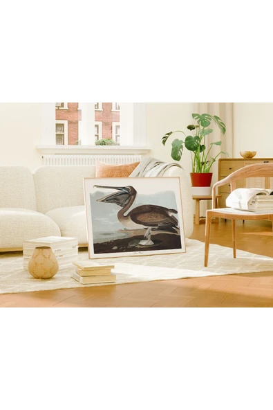 Pegziz Pelikan Sanatsal Duvar Dekorasyon Poster 60x90cm. ürün görseli 1