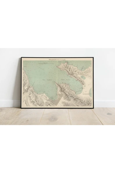 Pegziz Yeni Zelanda Wellington Eski Haritası Sanatsal Duvar Dekorasyon Poster 60x90cm. ürün görseli 1