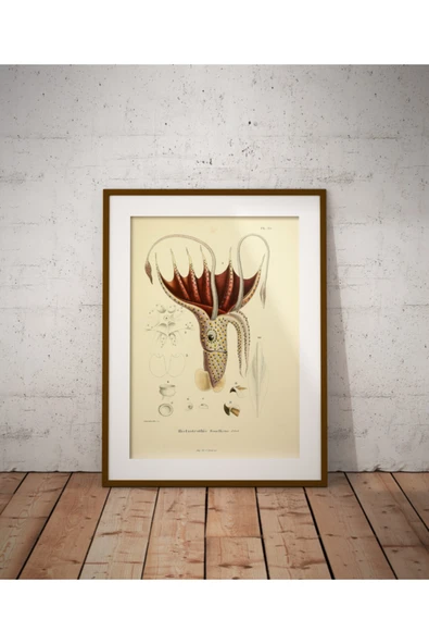 Pegziz Su Canlıları Ahtapot Sanatsal Duvar Dekorasyon Poster 40x50cm. ürün görseli 1
