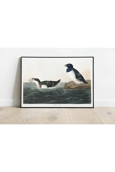 Pegziz Kuş Türleri Sanatsal Duvar Dekorasyon Poster 60x90cm. ürün görseli 1