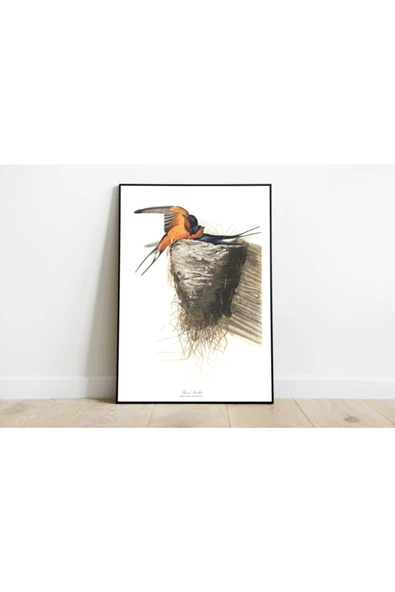 Pegziz Kuş Türleri Sanatsal Duvar Dekorasyon Poster 60x90cm. ürün görseli 1