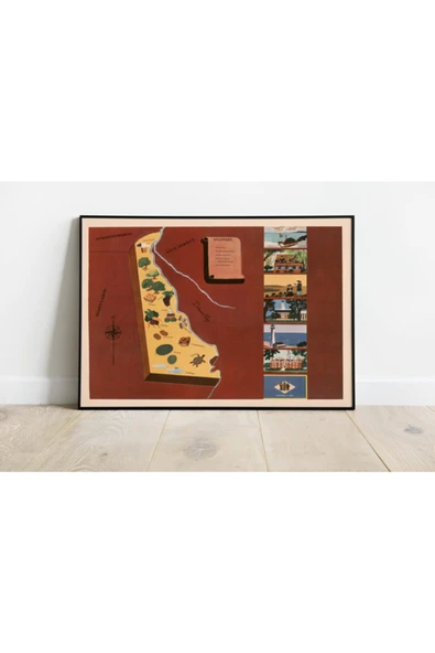 Pegziz Amerika Delaware Eyaleti Eski Haritası Sanatsal Duvar Dekorasyon Poster 60x90cm. ürün görseli 1
