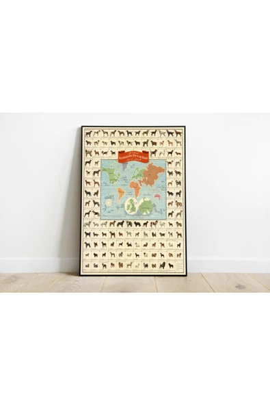Pegziz Dünya Köpek Türleri Haritası Sanatsal Duvar Dekorasyon Poster 60x90cm. ürün görseli 1