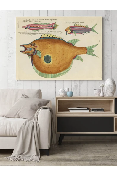 Pegziz Tropikal Balık Türleri Sanatsal Duvar Dekorasyon Poster 40x50cm. ürün görseli 1