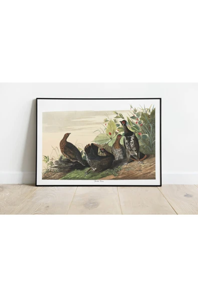 Pegziz Kuş Türleri Sanatsal Duvar Dekorasyon Poster 60x90cm. ürün görseli 1