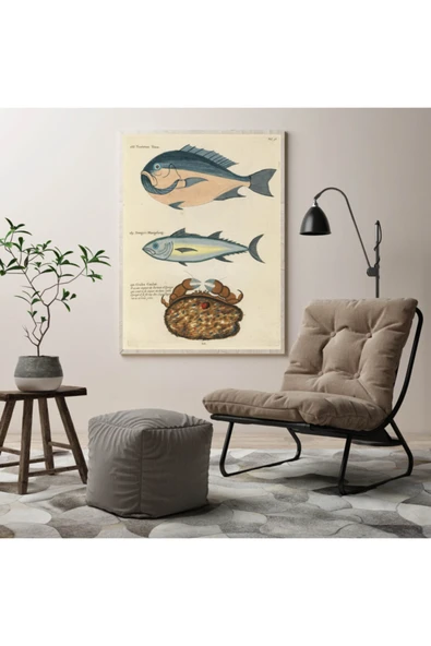 Pegziz Deniz Canlıları Sanatsal Duvar Dekorasyon Poster 60x90cm. ürün görseli 1